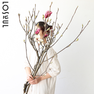 白玉兰花野奢紫色玉兰鲜花鲜切水培侘寂风小众花艺清香味软装 道具