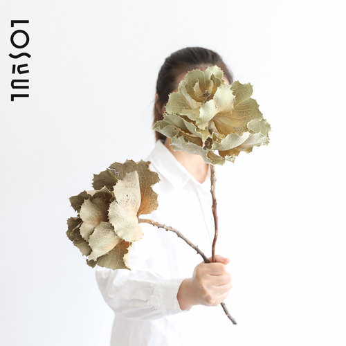 澳洲进口伊丽莎白永生干花复古
