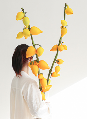 黄金五代果鲜切枝观果室内插花装饰好养护超长花期乔迁节日年宵花