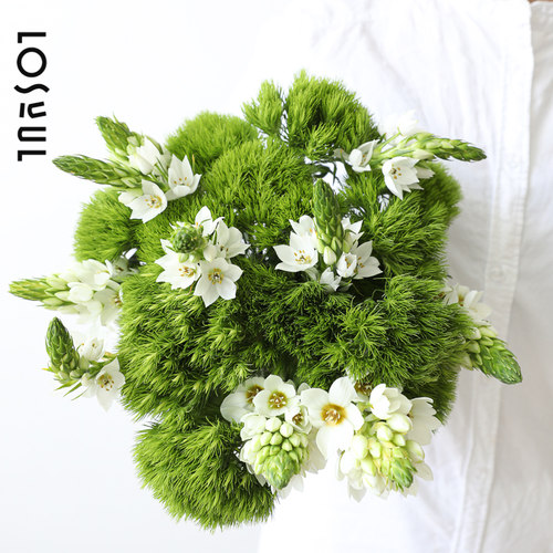 绿毛球鲜切雀梅鲜花花束