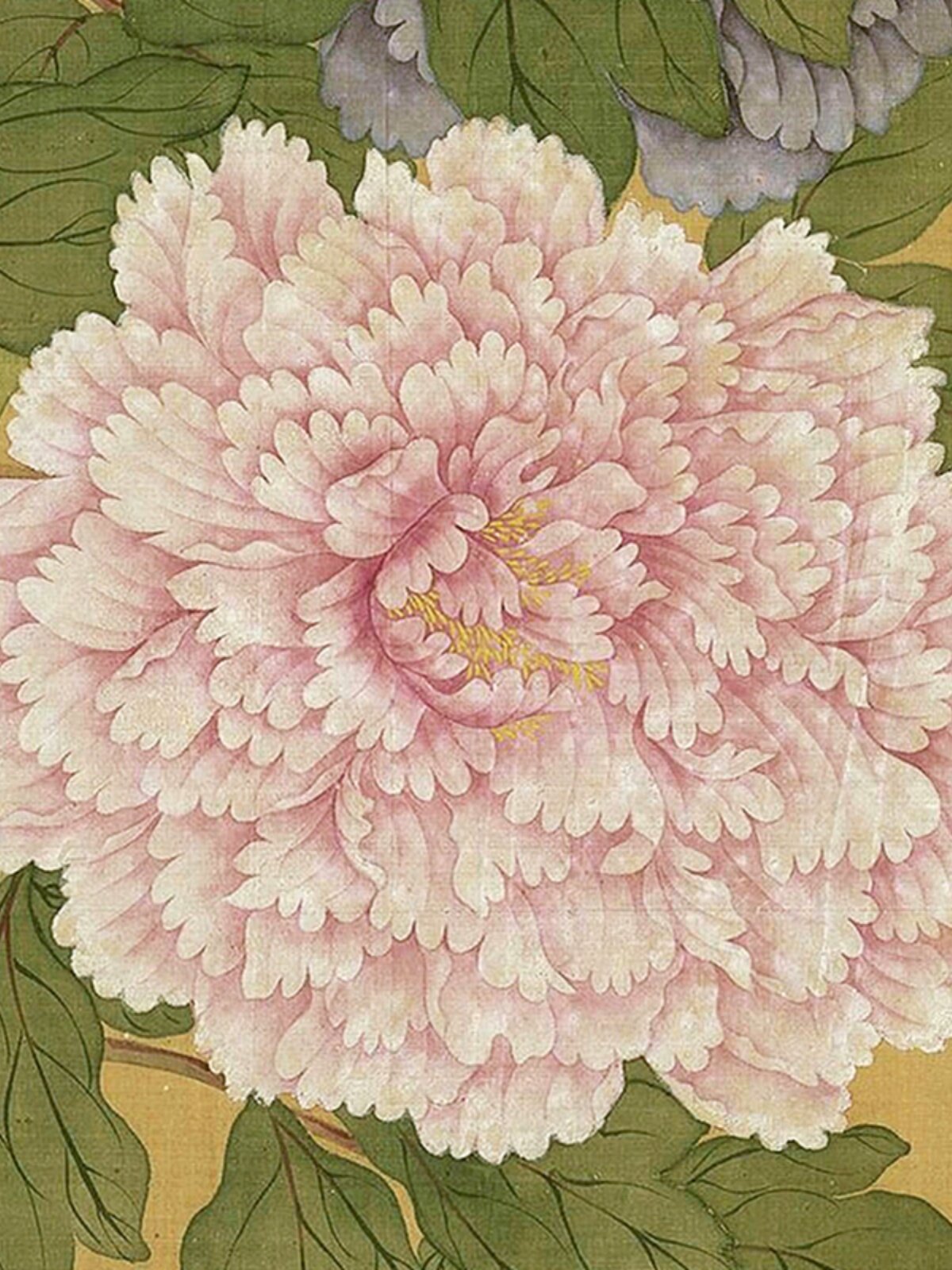 恽寿平牡丹册没骨花卉临摹范本工笔花鸟画小品艺术微喷绢布画心