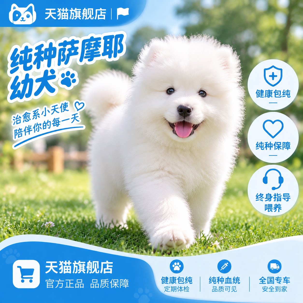 宠物狗狗小狗熊版中型犬家养