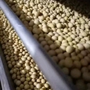 10斤熟黄豆打豆浆专用即食五谷杂粮早餐烘焙原料熟豆干豆炒豆商用