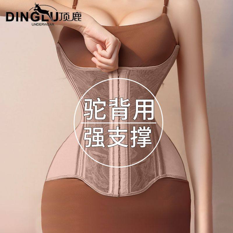 顶鹿驼背专用束腰收腹带