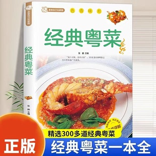 经典粤菜 食谱大全煲汤炖品粤菜食谱大全养生汤营养炖汤食谱菜谱书