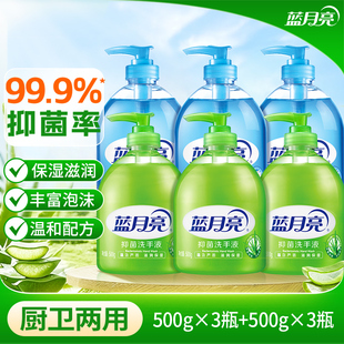【整箱6斤】蓝月亮洗手液芦荟抑菌家用补充液替换装袋装按压瓶