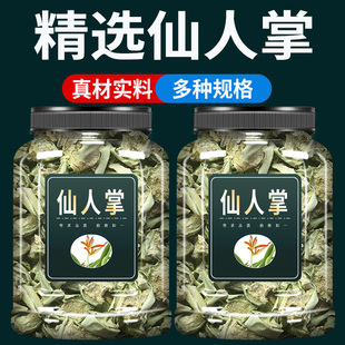 仙人掌中药材500g克官方旗舰店食用无刺仙人掌植物晒干货可打粉
