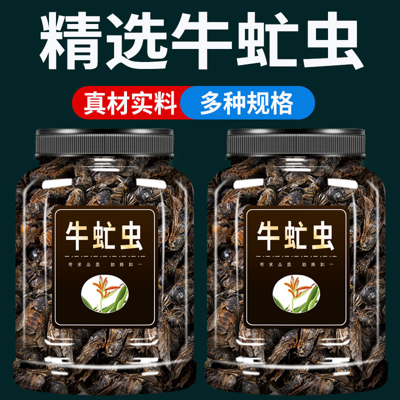 牛虻虫中药材500g克官方旗舰店野生虻虫粉牛虻牛蚊子牛苍蝇牛虻干