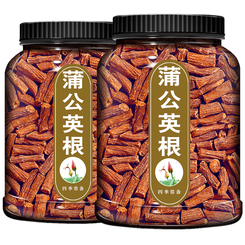 女生喝的蒲公英根大克重桶装茶