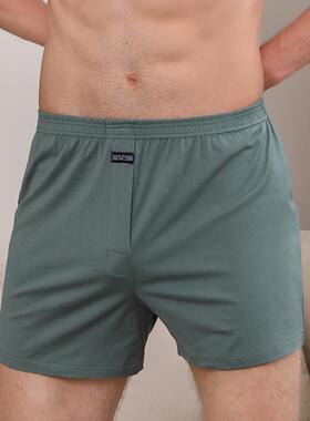 4X Mens boxer briefs loose men boxers underpants under
