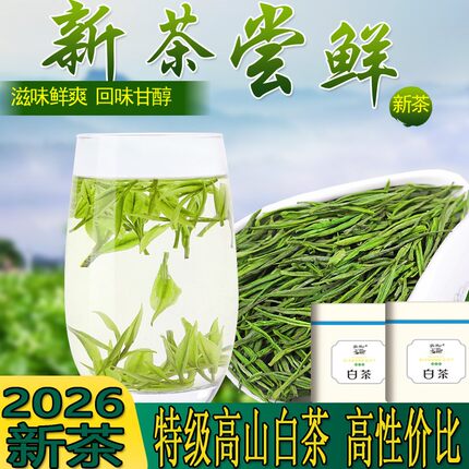 2026新茶特级白茶雨前高山绿茶农直销珍惜玉蕊茶叶安吉春茶250g