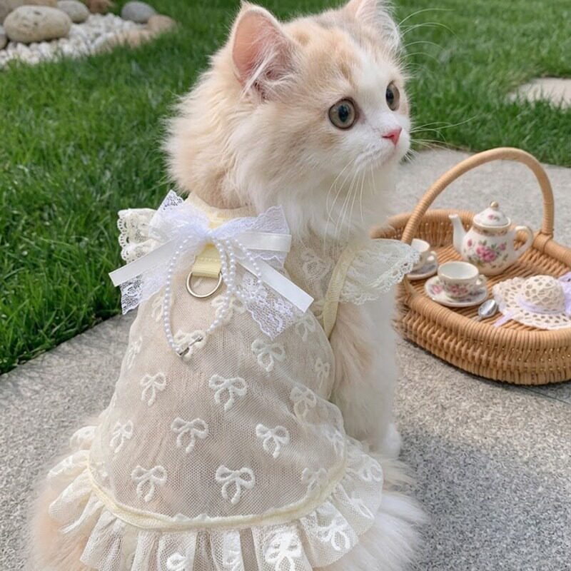 宠物猫咪甜美蝴蝶结蕾丝连衣裙|