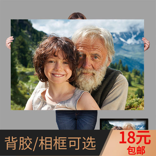 海蒂和爷爷电影海报爸爸的好儿子小屁孩日记完美的世界小鬼当家她