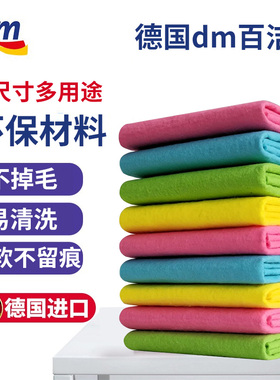 德国进口dm超市Profissimo厨房抹布百洁布加厚吸水不掉毛懒人抹布