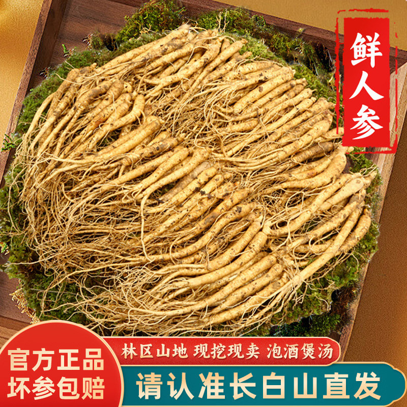 鲜人参长白山带土鲜活人参单支现挖现卖泡酒煲汤人叁新鲜东北特产