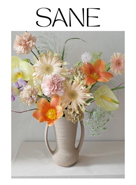 Sane肌理感陶瓷双耳花瓶陈列客厅餐厅侘寂风静物居家装饰