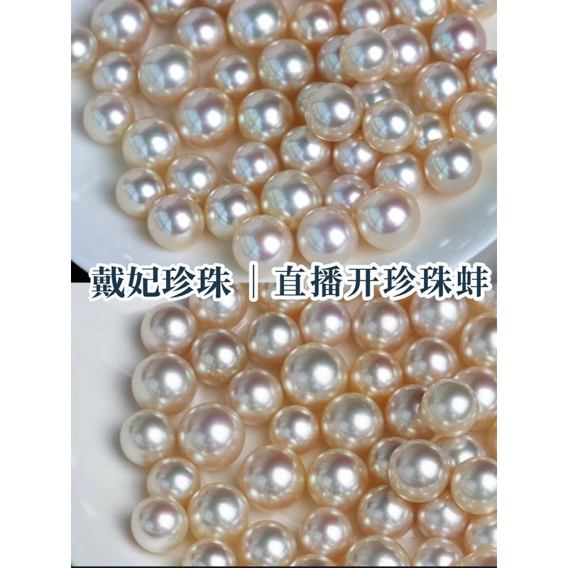 【高品质单珠蚌】爱迪生一蚌一珠 妖紫金珠强光 鲜活淡水河蚌取珠