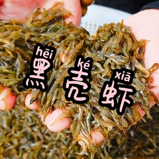 黄金蚬 观赏虾 水草除藻虾工具虾 黑壳虾 乌龟雷龙原生鱼饲料