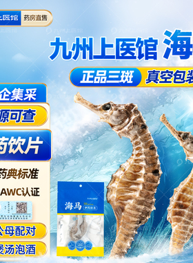 三斑海马干货中药材公母配对中草药材店铺大全煲汤海龙泡酒料药典
