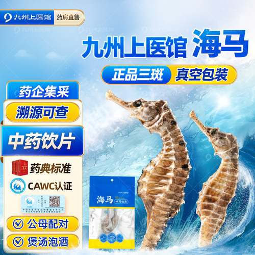 海马干货中药材温肾助阳补品泡酒