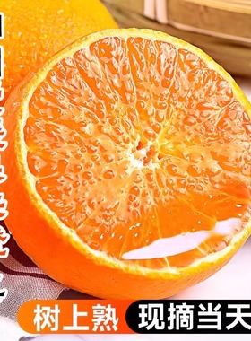 爱媛38号果冻橙新鲜橙子水果当季整箱10斤四川大果手剥早早旗舰店
