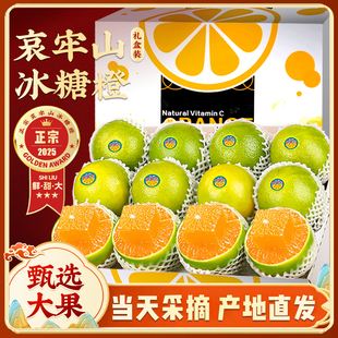 正宗云南哀牢山冰糖橙新鲜大水果礼盒冻橙手剥褚冠当季现摘桔子
