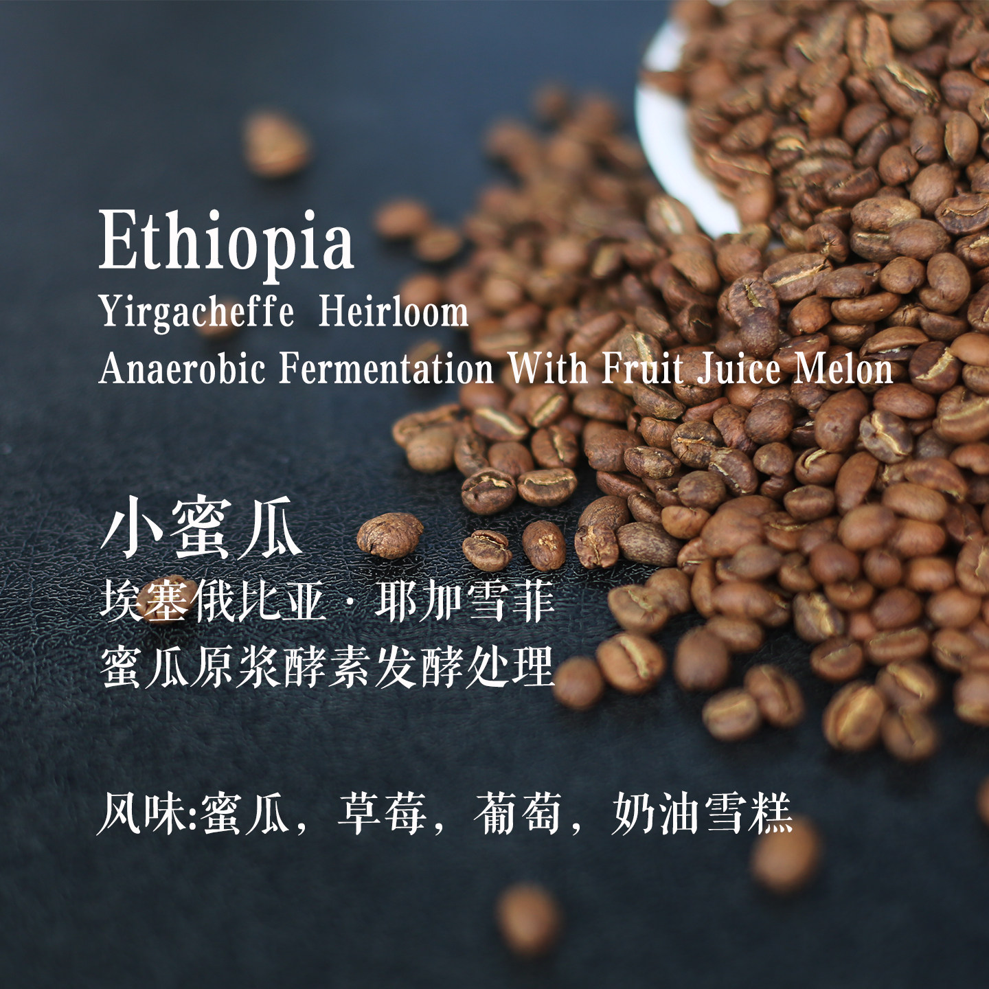 新鲜烘焙埃塞俄比亚耶加雪菲蜜瓜蜜瓜酵素发酵手冲冷萃咖啡豆袋装