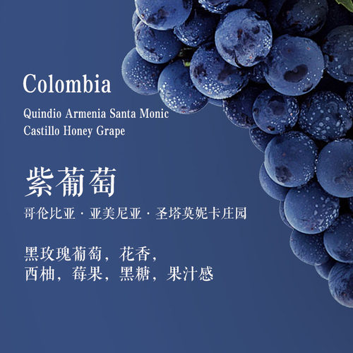 哥伦比亚葡萄发酵厌氧蜜处理咖啡