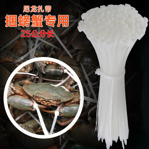 专用尼龙塑料强力25公分扎带