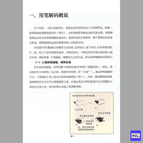 经典碑帖实临解码蜀素帖 技法教程 高清电子版图片158张 920M