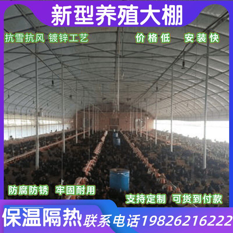 速发养殖大棚骨架钢管架全套保温椭圆管养鸡H场鸭鹅养R牛羊猪舍猪