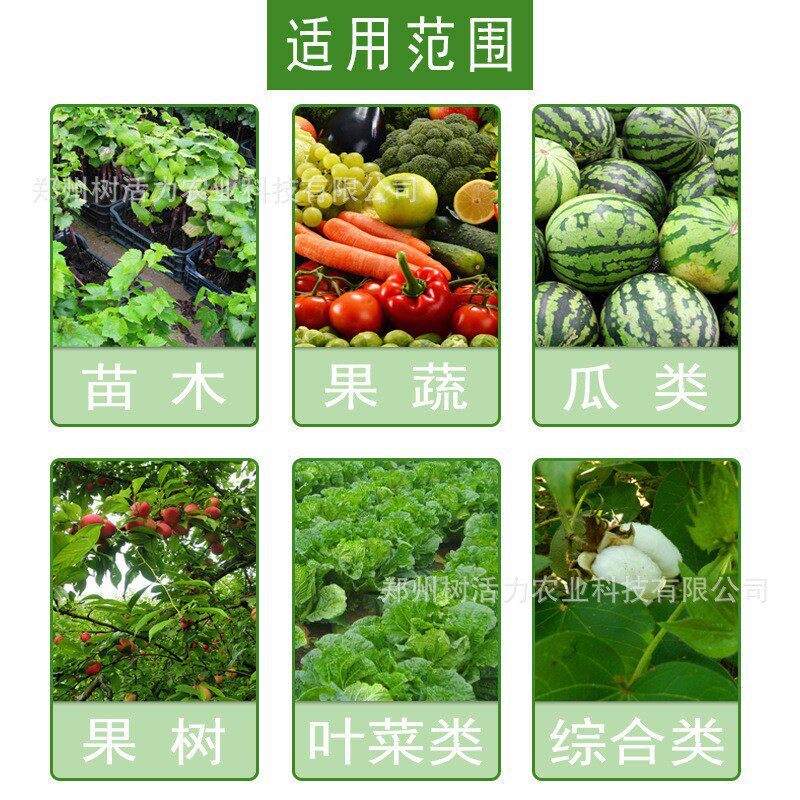 速发绿叶氨基酸水溶肥黄叶死苗一喷绿叶面肥促进绿叶素叶绿素通用