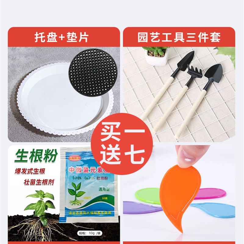 现货陶瓷花盆大号北欧风带托盘大口径花盆金钱树阳台室内发财树大