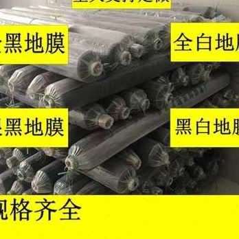 速发厂促厂农用银色黑色除草m膜反光膜双色银黑膜大棚膜塑料薄膜