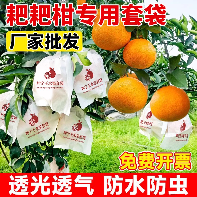 速发耙耙柑水袋专用袋柑橘果袋丑橘橙春梨子见不知火脐橙套果套袋