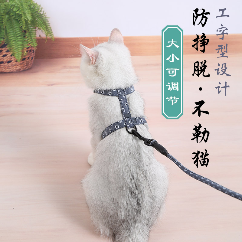 速发猫咪溜猫遛猫猫防挣脱可调节绳绳子牵引拴用绳猫品