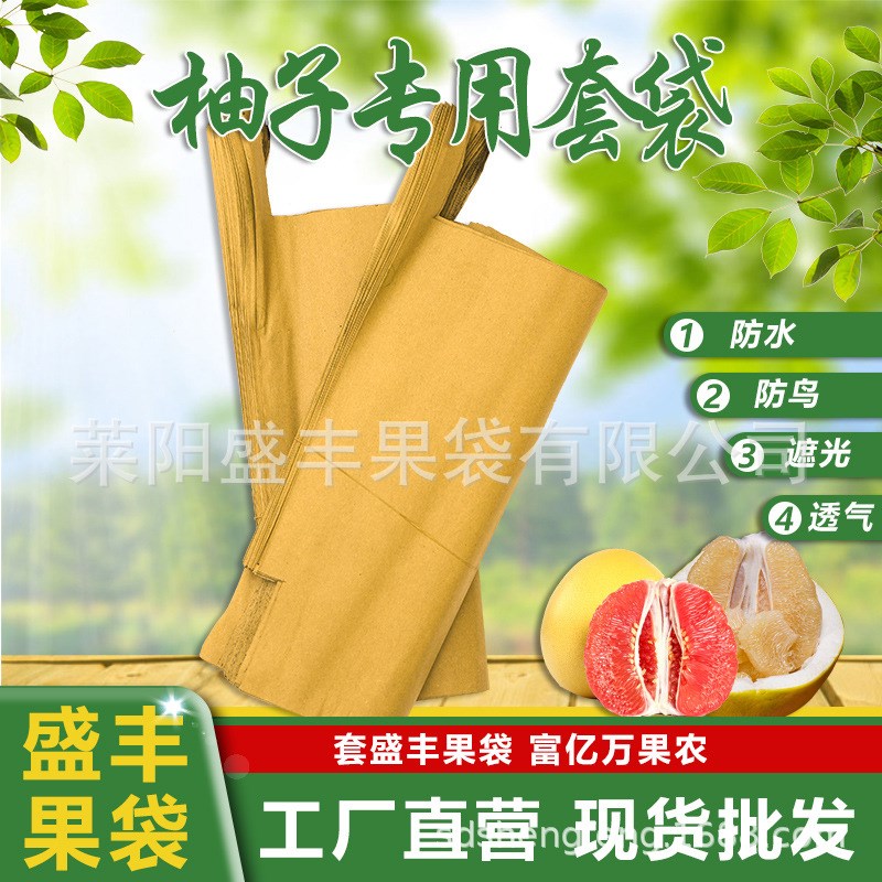 速发【】柚子专用套袋沙田柚蜜鸟专用套袋防柚防虫柚子保护纸