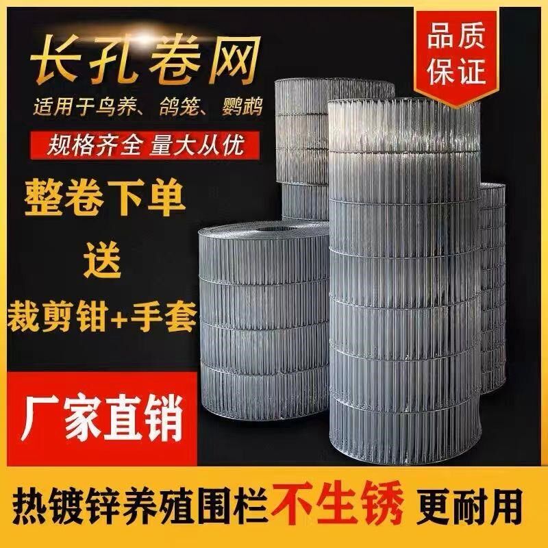 高货速发整卷防锈镀锌长孔电焊网鸟笼子网围栏网鸽舍地网鸡鸽兔笼