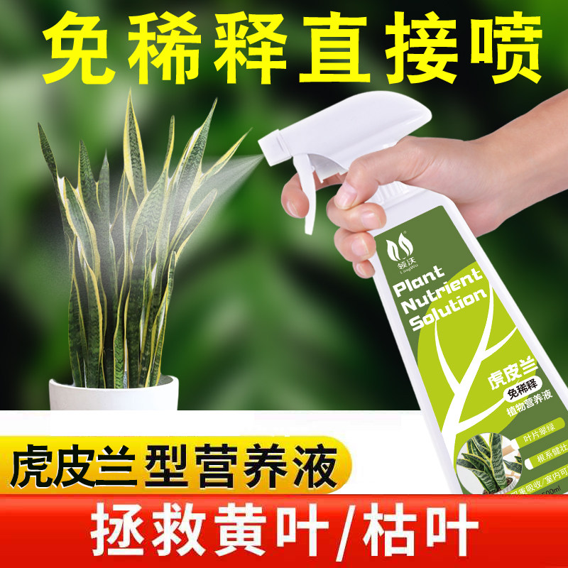 速发免栽虎虎皮兰营养液肥料专用肥金边释尾兰家用盆稀植物通用肥