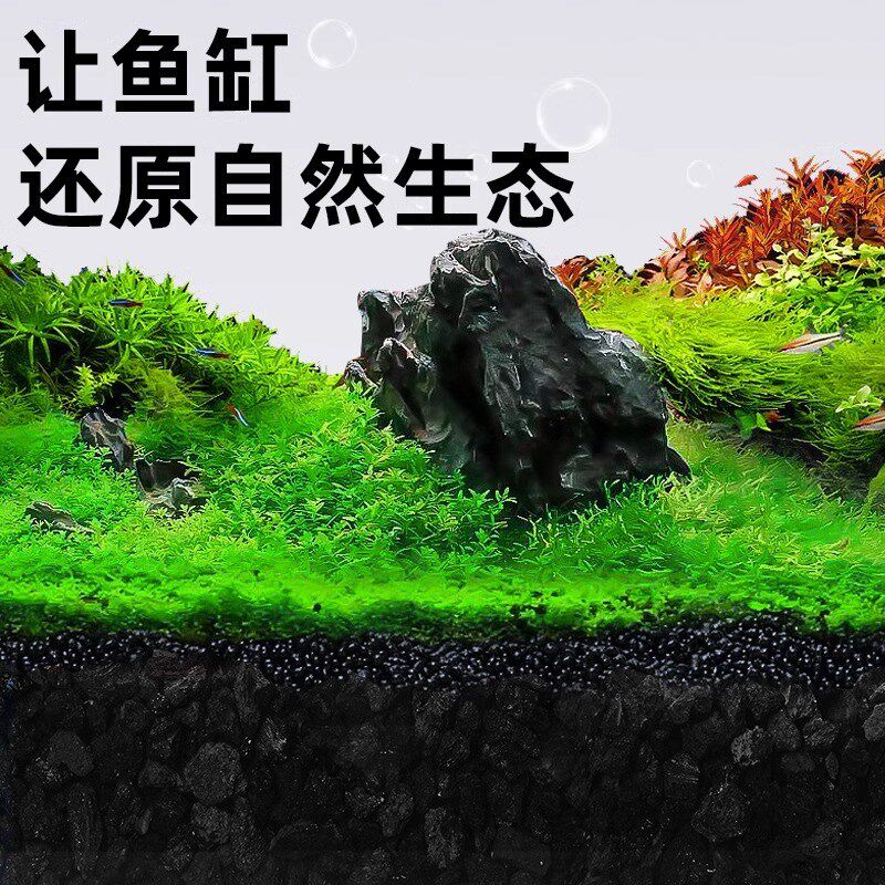 现货黑色天然火山石颗粒黑火山石开鱼缸过滤底砂水族造景拌土多肉