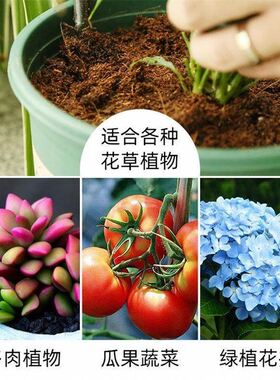 速发椰砖营养土椰糠壤土脱种透气兰花多肉盐菜养花专用土椰通用型