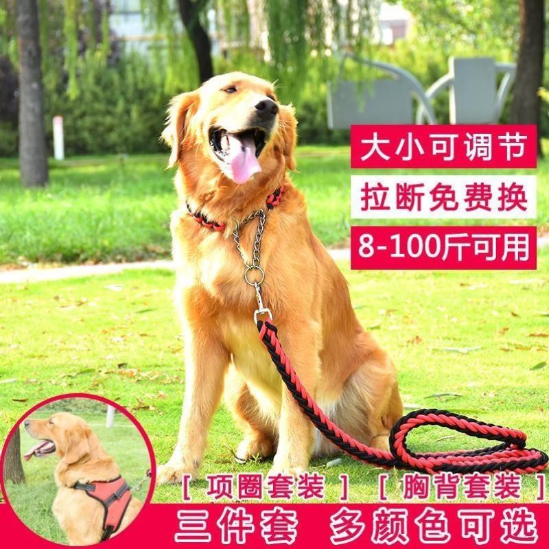 现货狗链子中大型犬金毛牵引绳狗狗胸背带阿拉斯加遛狗绳狗狗用品