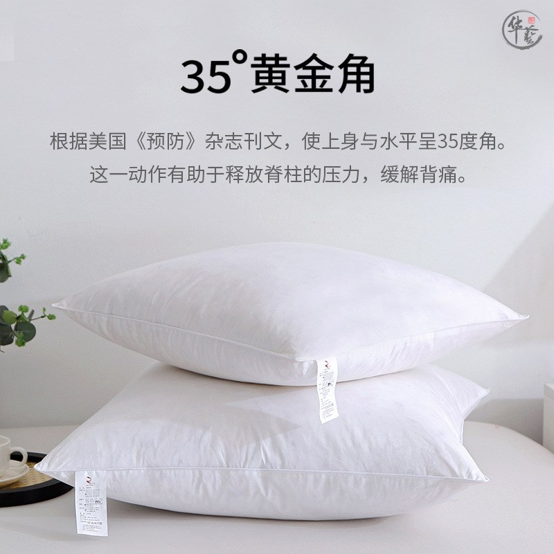 现货水正家纺羽绒抱枕芯45x45内胆鹅毛靠垫芯羽S毛靠枕芯酒店靠背
