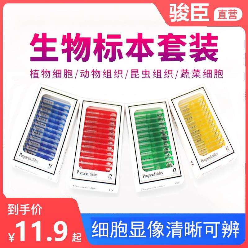 现货显微镜儿童科学配件生物切片标本制作学生动物植物昆虫载玻片