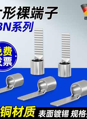 DBN紫铜插片型冷压接线端子1.25/2/5.5-10/14/18插针形线耳线鼻子