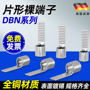DBN紫铜插片型冷压接线端子1.25 5.5 18插针形线耳线鼻子