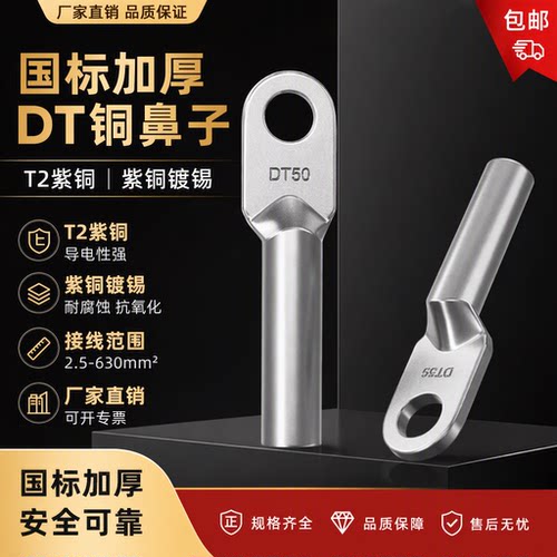 DT国标紫铜镀锡堵油接线端子