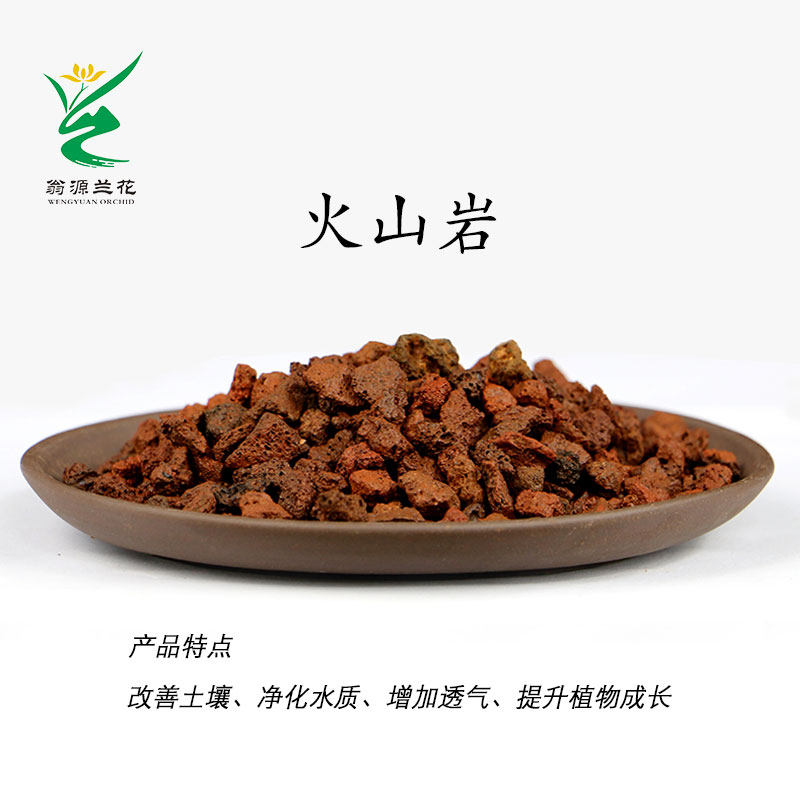 翁源兰花专用铺面石美观火山岩透气拌土促生根红土多肉绿植植料土,鲜花速递/花卉仿真/绿植园艺,介质/营养土,淘宝优惠券,粉丝福利购,淘宝优惠卷