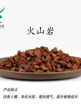 翁源兰花专用铺面石美观火山岩透气拌土促生根红土多肉绿植植料土