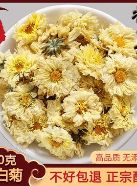 菊花茶杭白菊500g正品桐乡杭白菊散装杭菊杭州白菊花贡菊黄菊新花